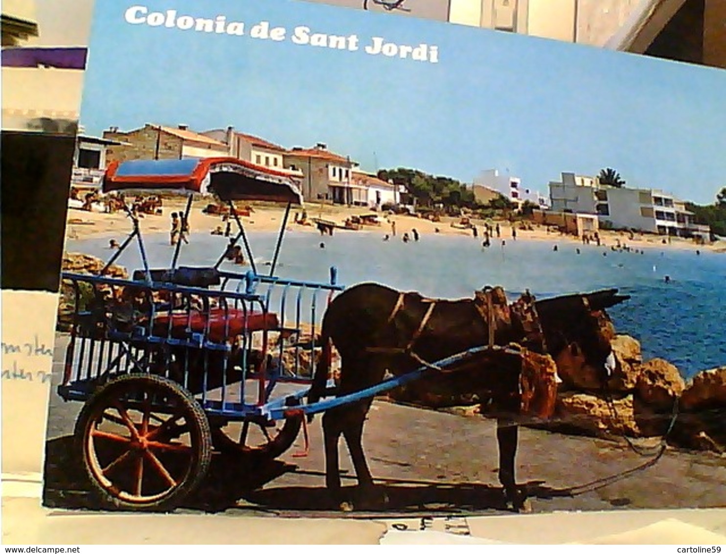 ESPANA MALLORCA COLONIA SANT JORDI Asino BURRO   STAMP TIMBRE  SELO 5 Ptas Casa Colon Las Palmas GX5632 - Mallorca