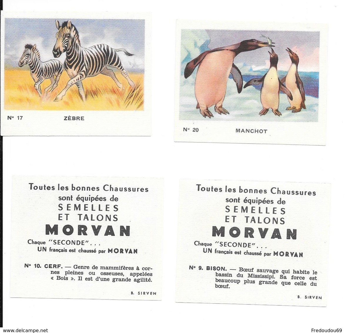 IMAGE - Bon Point Animaux - Morvan - Autres & Non Classés