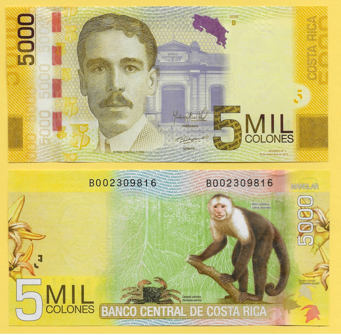 Costa Rica 5000 Colones P-276b 2012 (Series B) UNC - Costa Rica