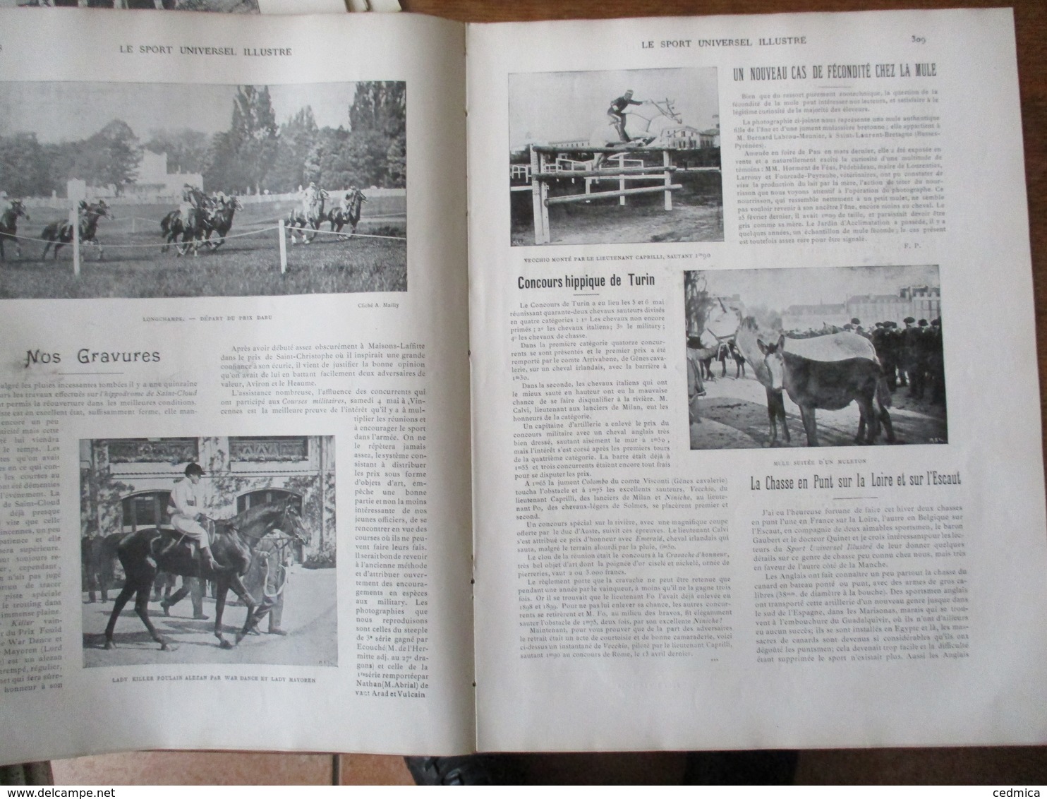 LE SPORT UNIVERSEL ILLUSTRE N°252 DU 18 MAI 1901 HIPPODROME DE SAINT-CLOUD,CHASSE EN PUNT SUR LA LOIRE ET L'ESCAUT,AGRIC - 1900 - 1949