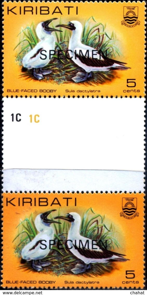 MARINE BIRDS-BLUE FACED BOOBY-SPECIMEN- GUTTER PAIR-KIRIBATI-1982-MNH-H-569 - Albatros