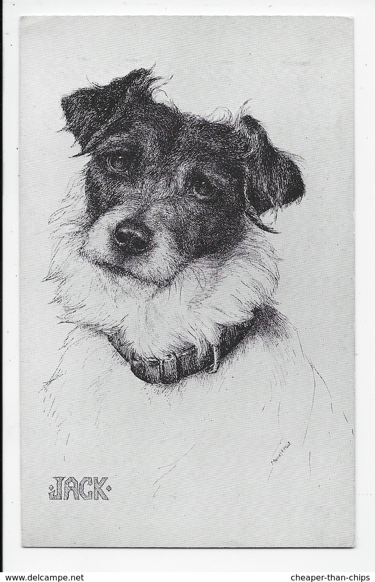 Jack - Portrait Of A Small Dog - Dogs
