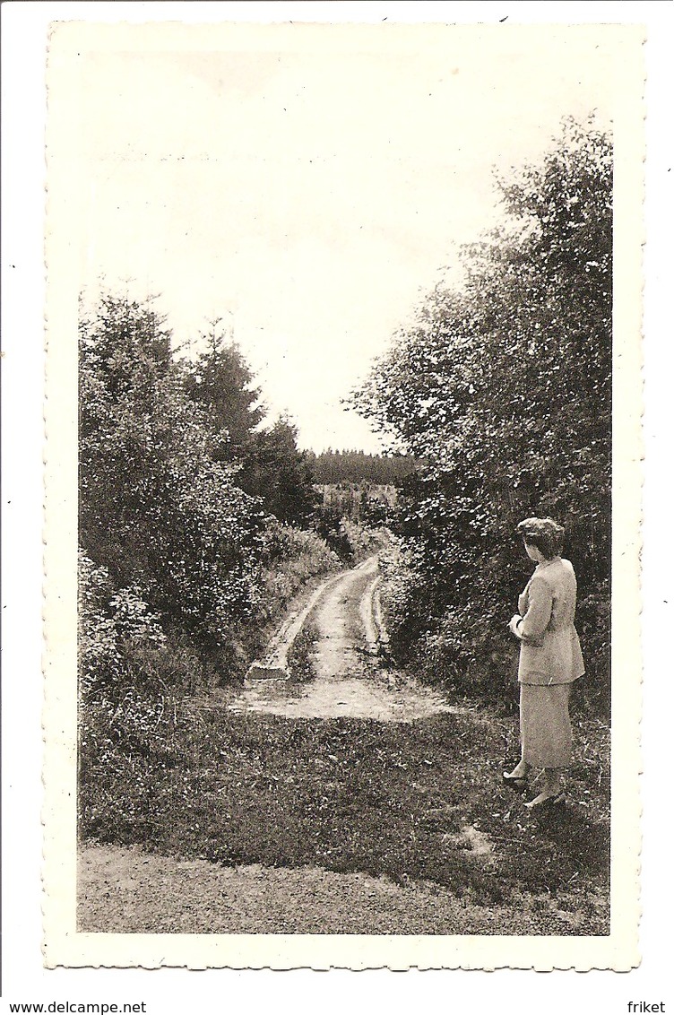 MANDERFELD    Losheimergraben   Hotel  SCHRODER - Büllingen