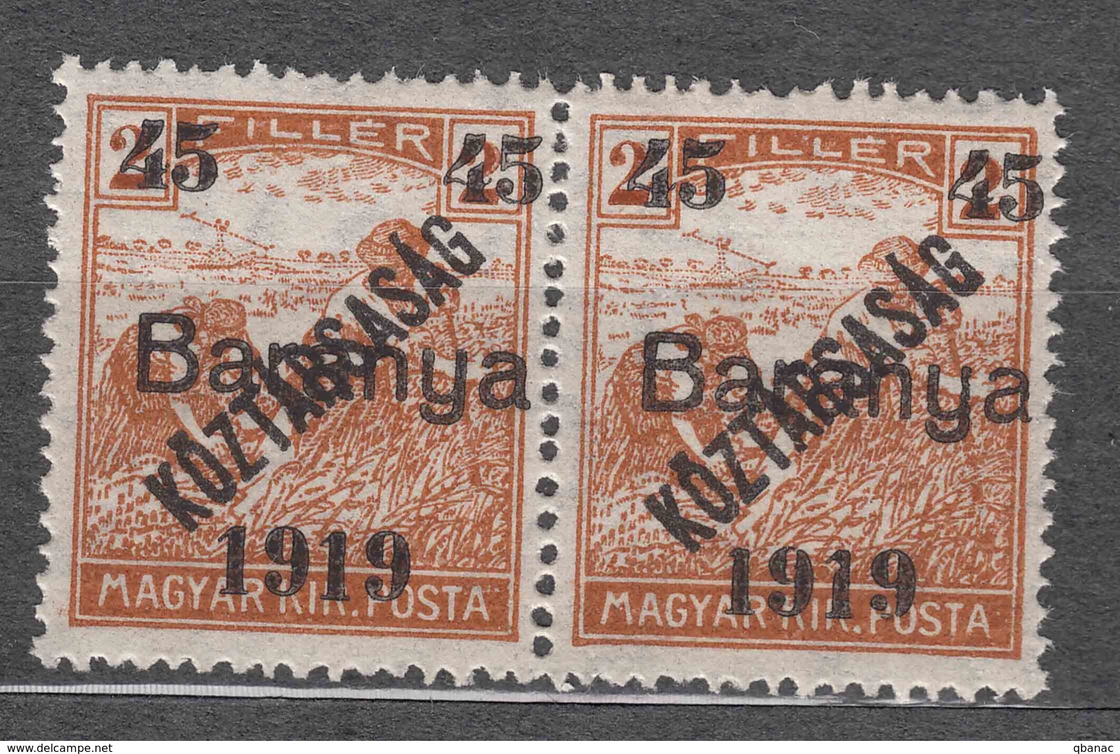Hungary Baranya 1919 Mi#45 Mint Never Hinged Pair - Baranya