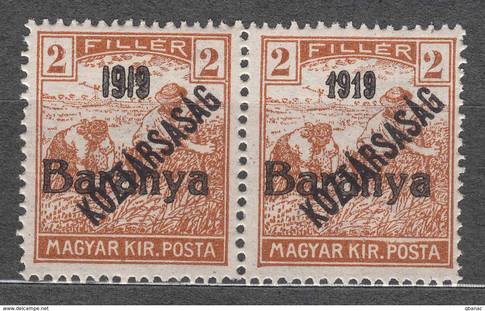 Hungary Baranya 1919 Mi#43 Mint Hinged Pair, Two Diff. Overprint Types - Baranya