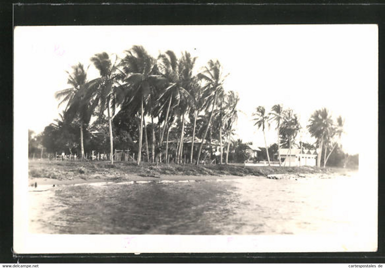 AK Tumaco, Ortspartie Mit Palmenstrand - Colombia