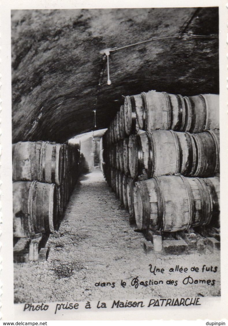 Maison Patriarche Père Et Fils - Une Allée De Futs Dans Le Bastion Des Dames - Lieux