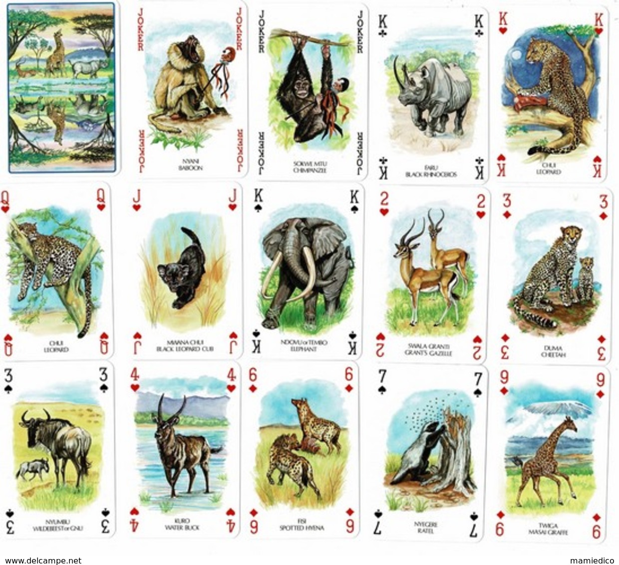 2 Jeux De Cartes Africaines Neufs Dans Une Boîte Plastique  ANIMAUX 54 Cartes  Et PERSONNAGES 54 C. Excellent état. - Autres & Non Classés