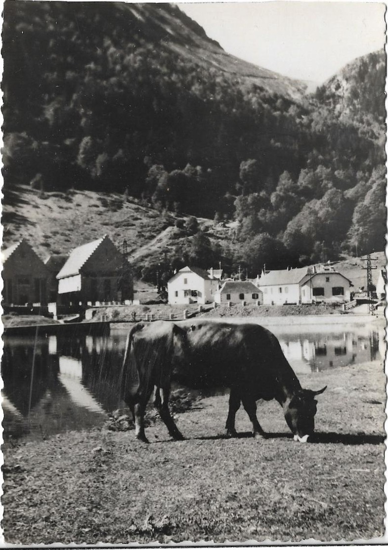 CPSM Dentelée En NB De  ARTIGUES  (65)  -  Colonie Du Sacré-Coeur De Bordeaux - Le Lac Et L' Usine   //   TBE - Autres & Non Classés