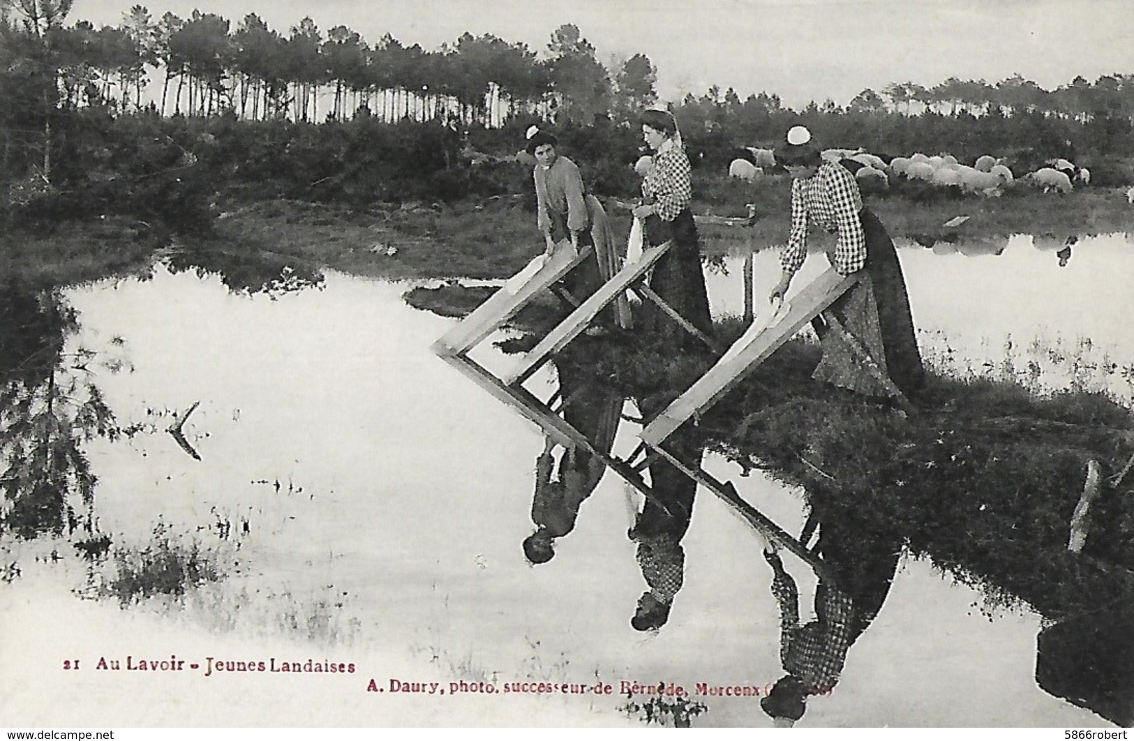 CARTE POSTALE ORIGINALE ANCIENNE : MORCENX TROIS JEUNES FEMMES LANDAISES AU LAVOIR ANIMEE LANDES (40) - Morcenx