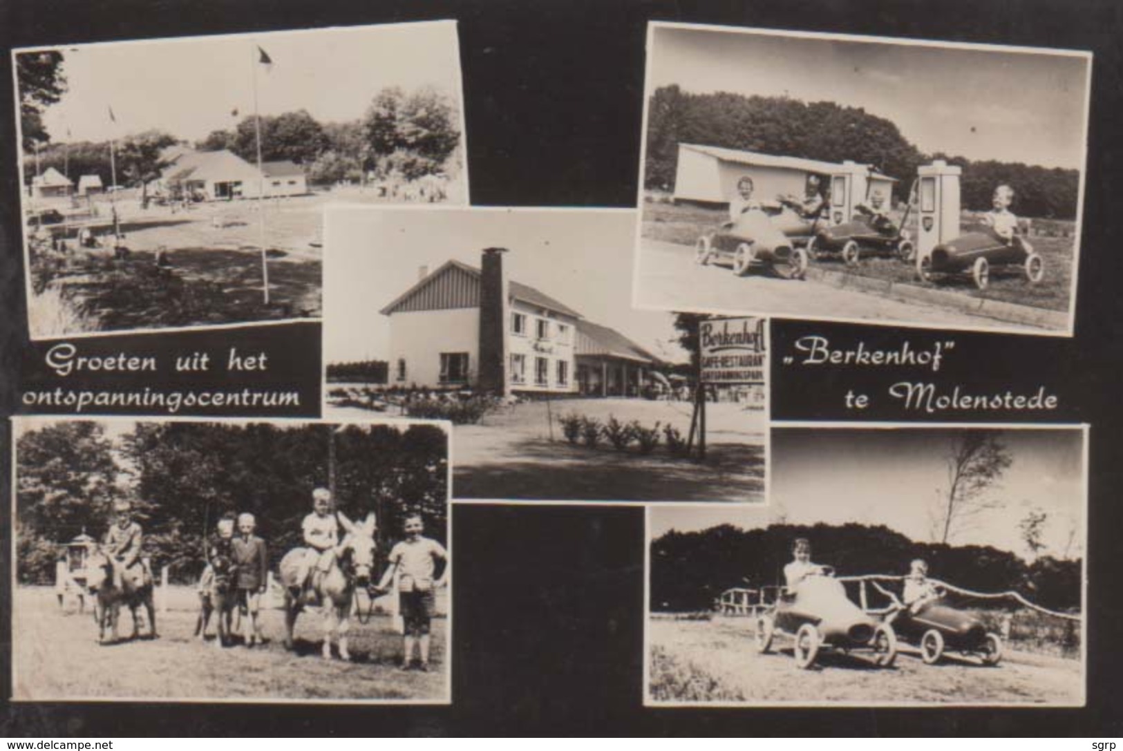 Diest-Molenstede-Groeten Uit Het Berkenhof. - Diest