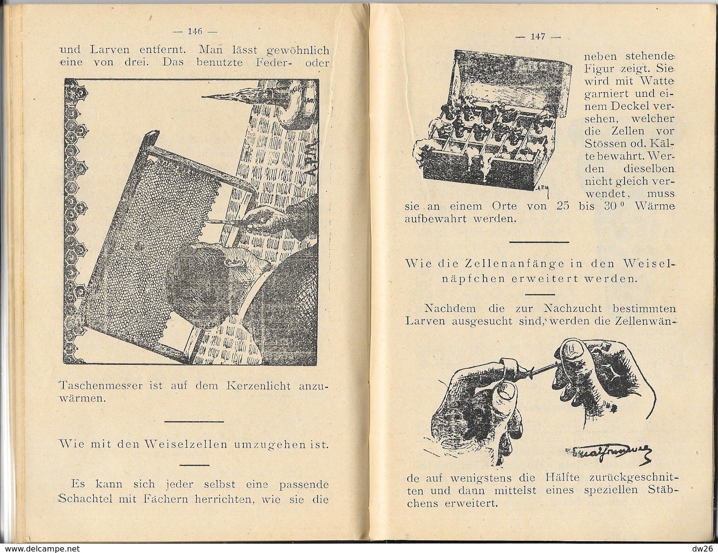 Immenkalender Für Das Jahr 1972, Elsass-Lothringischen Bienenzüchterverein, Société D'Apiculture D'Alsace Et De Lorraine - Calendriers