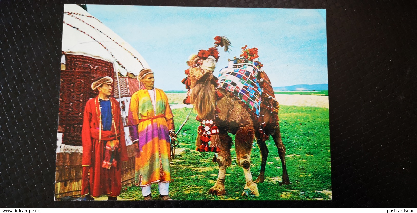 AFGHANISTAN TURKOMAN CAMEL Old Postcard - Afghanistan