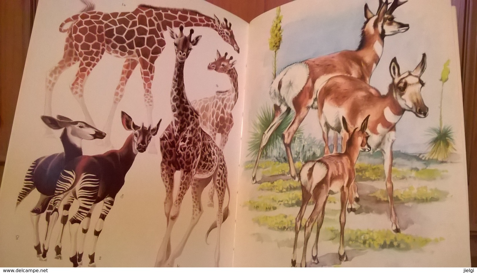 Le Monde Animal En 13 Volumes- Encyclopédie De La Vie Des Bêtes - Encyclopédies