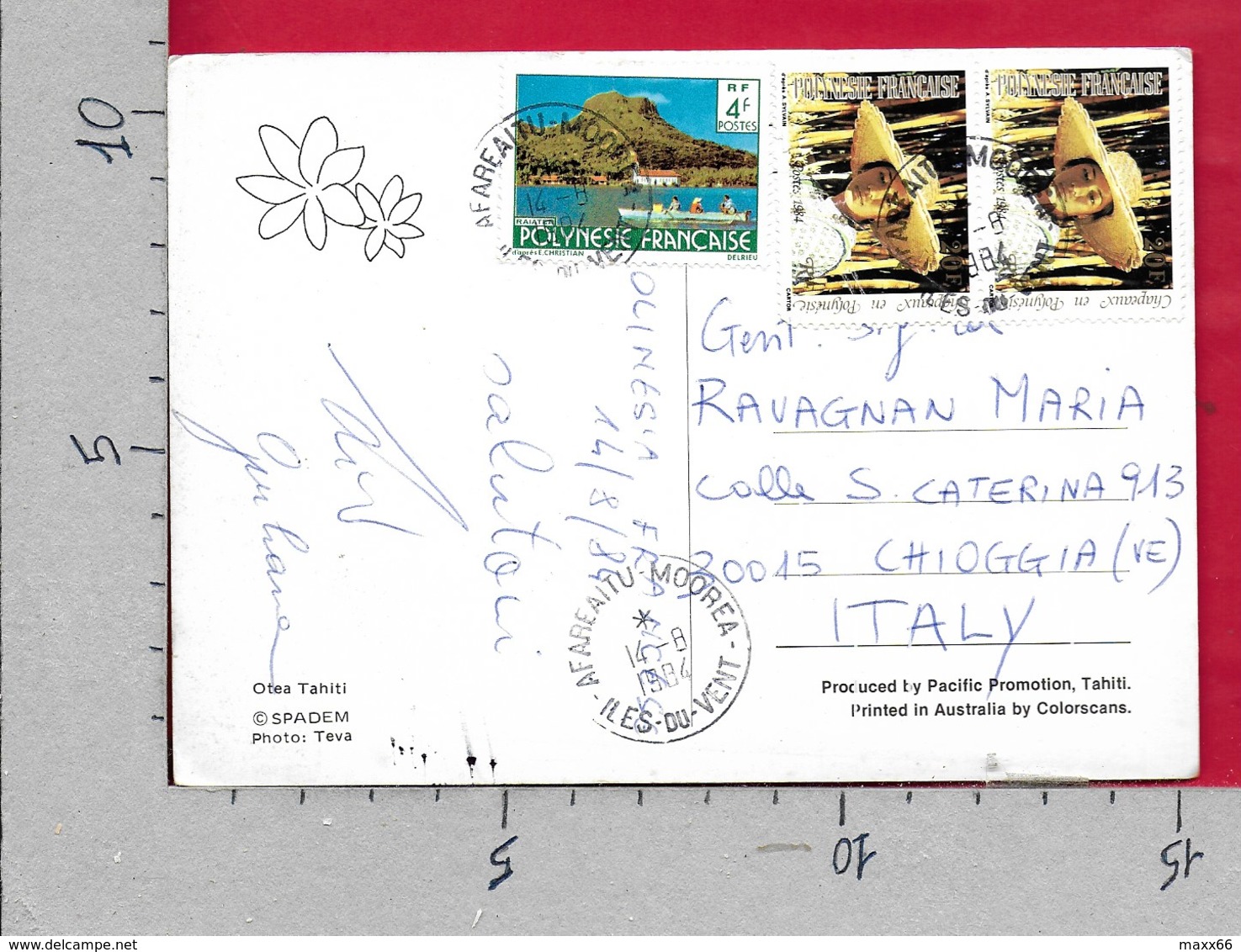 CARTOLINA VG POLINESIA FRANCESE - Danzatrice - OTEA TAHITI - 10 X 15 - ANN. 1984 AFAREAITU MOOREA - Polinesia Francese