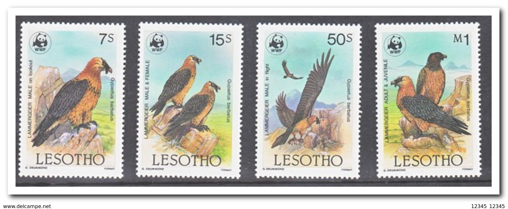 Lesotho 1986, Postfris MNH, WWF, Birds - Lesotho (1966-...)