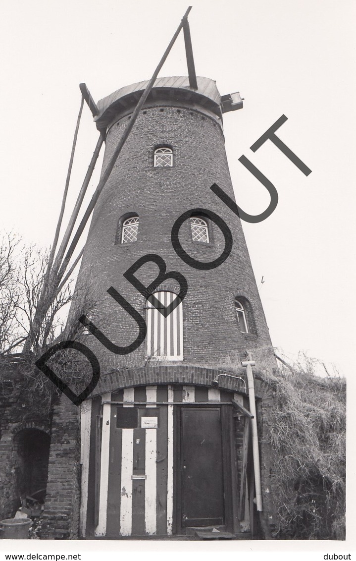 Rijkevorsel Molen/Moulin Originele Foto C21 - Rijkevorsel