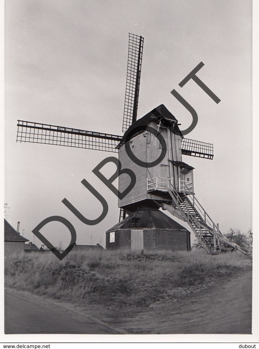 Tessenderlo Molen/Moulin Originele Foto C22 - Tessenderlo