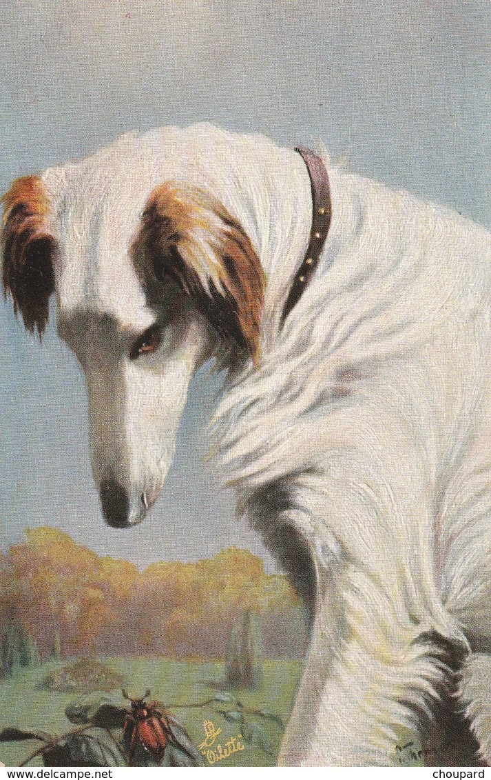 Très Belle Carte Postale Ancienne De Chien Lévrier Barzoi - Perros