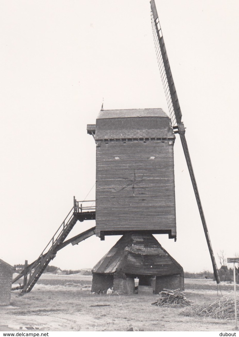 Eksel Molen/Moulin Originele Foto C11 - Hechtel-Eksel