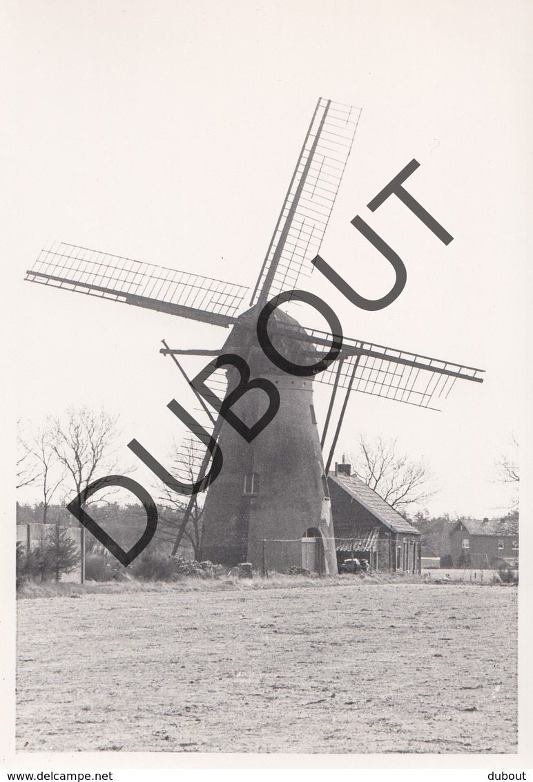 Kaulille Molen/Moulin Originele Foto C12 - Bocholt