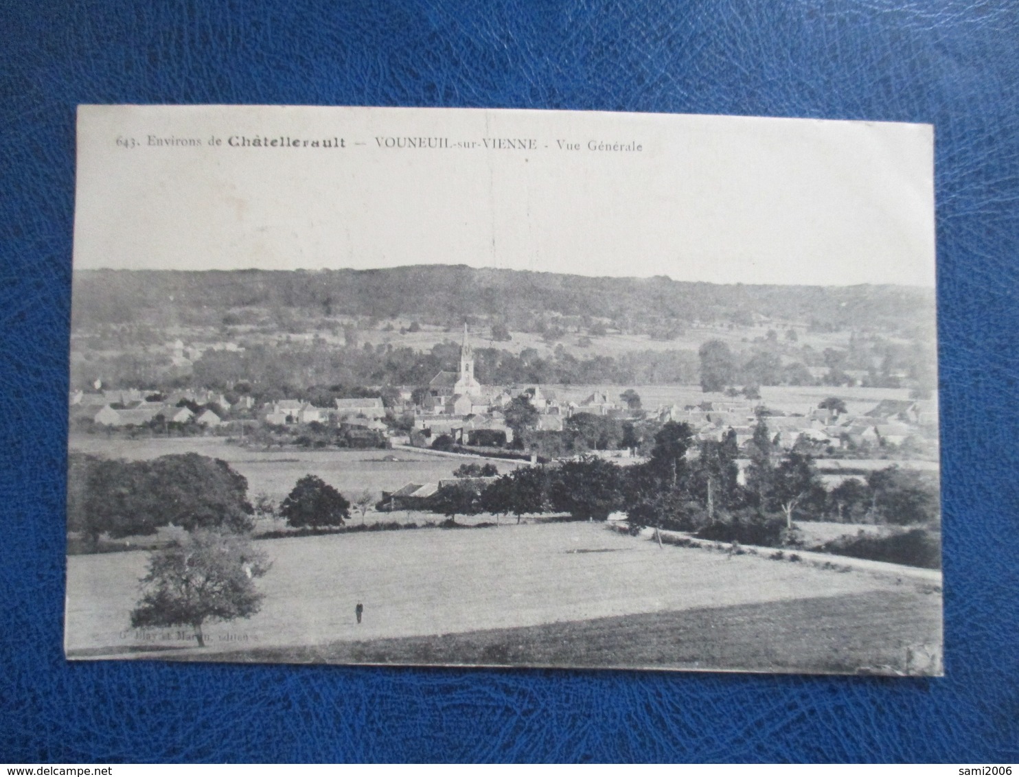 CPA 86 VOUNEUIL SUR VIENNE VUE GENERALE - Vouneuil Sur Vienne