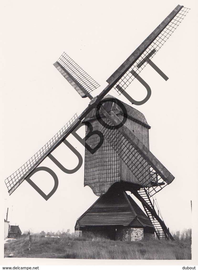 Leut Molen/Moulin Originele Foto C14 - Maasmechelen