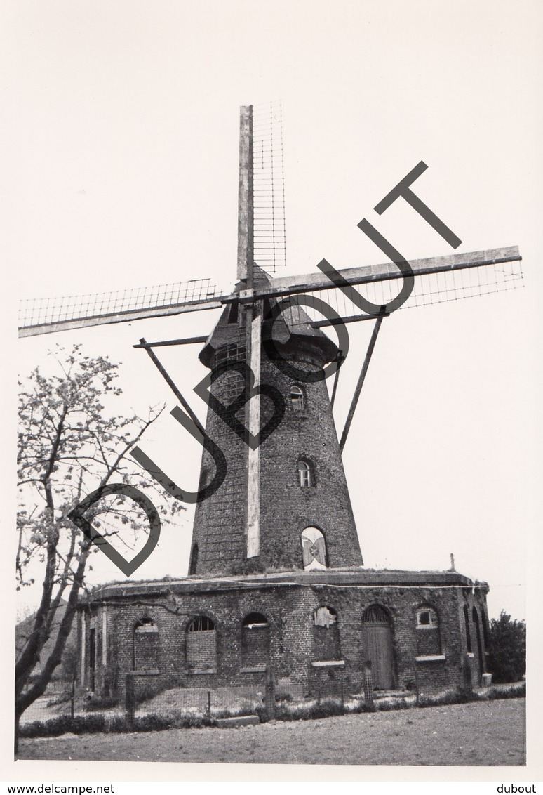 Elen  Molen/Moulin Originele Foto C16 - Dilsen-Stokkem