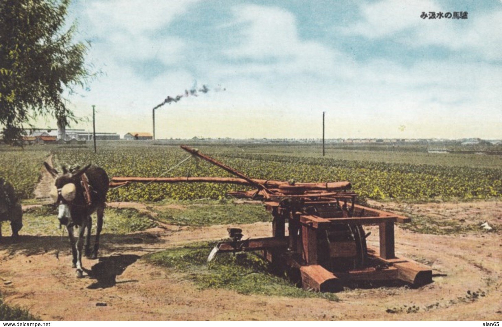 Japan Or China(?) Agriculture Theme, Donkey Works Mill Grinding/Pumping(?) C1920s/30s Vintage Japan Published Postcard - Other & Unclassified