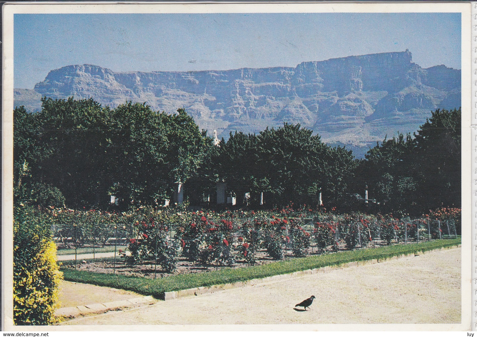 KAAPSTAD SE OPENBARE RUINE EN TAFELBERG, KAAPSE SKIEREILAND  1984  Used - Sud Africa