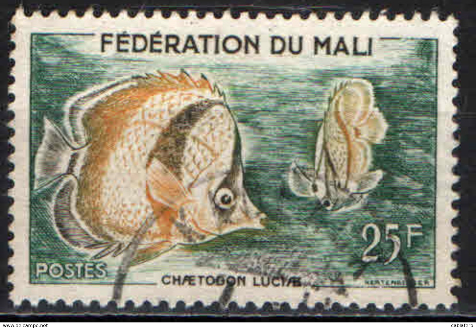 MALI - 1960 - PESCE FARFALLA - USATO - Mali (1959-...)