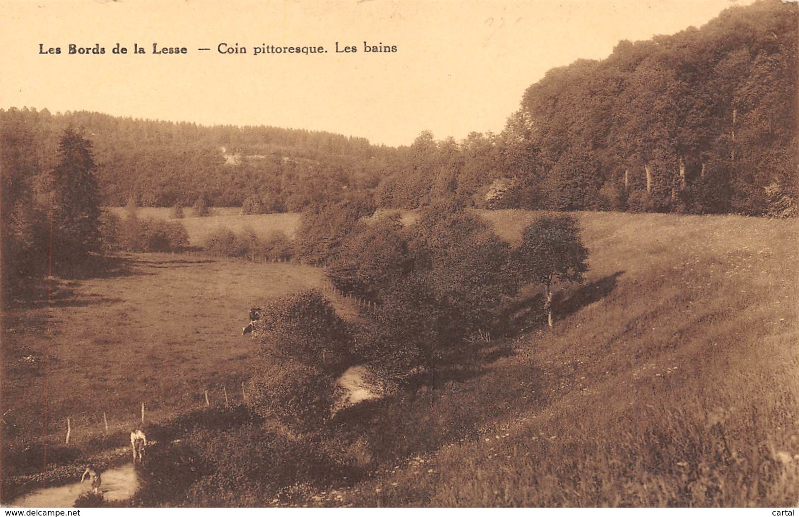 Les Bords De La Lesse - Coin Pittoresque.  Les Bains - Autres & Non Classés