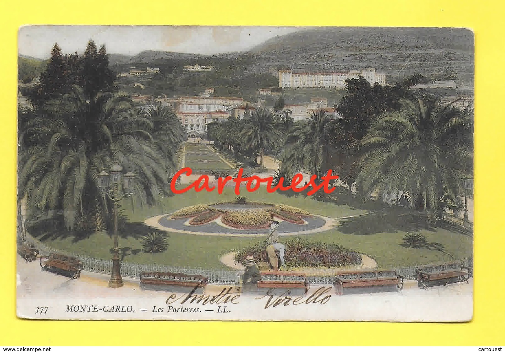 CPA MONTE CARLO - LES PARTERRES 1903 (  Jardinier ) - Monte-Carlo