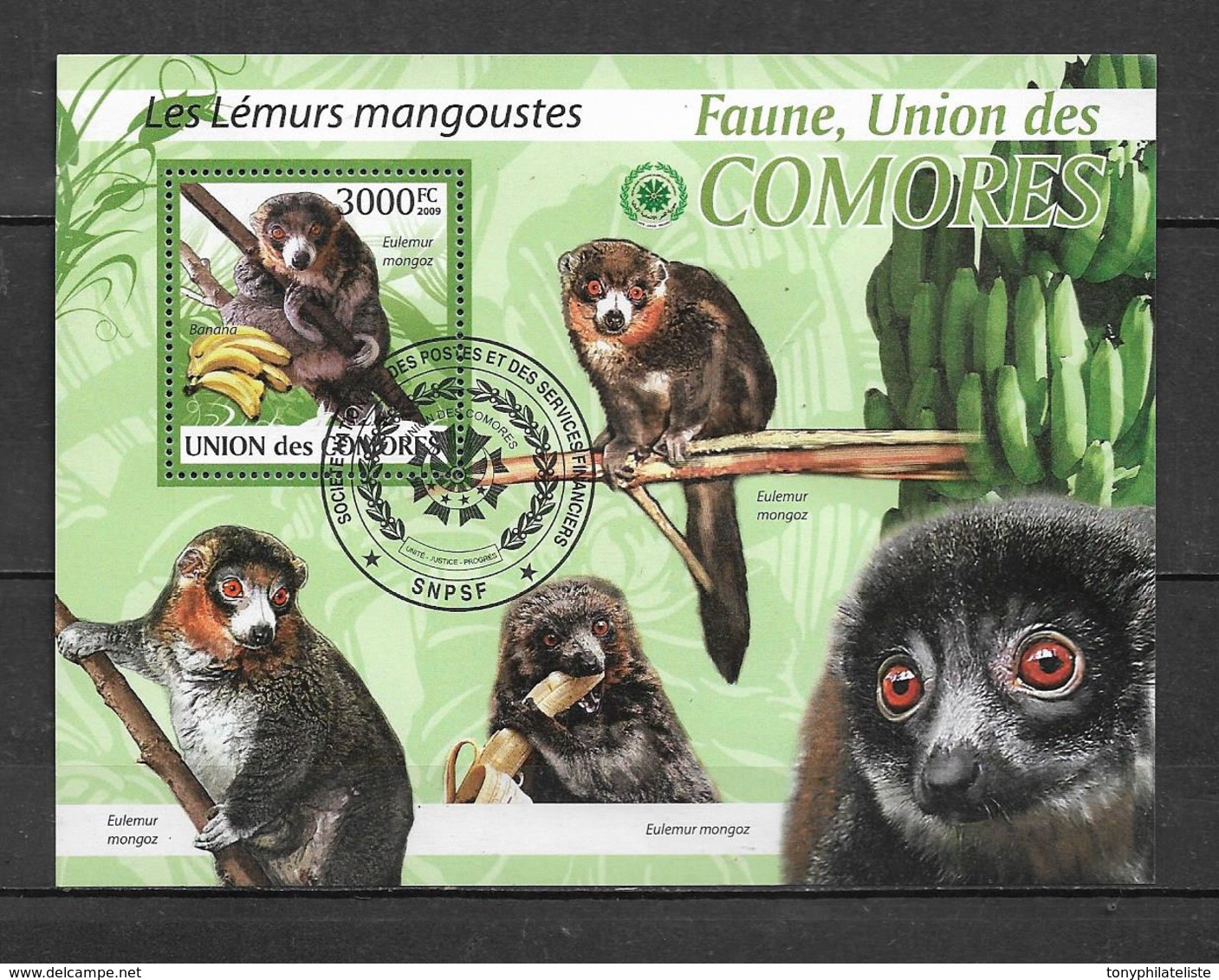 Comores Bloc De 2009 Tres Belle Oblitération - Used Stamps