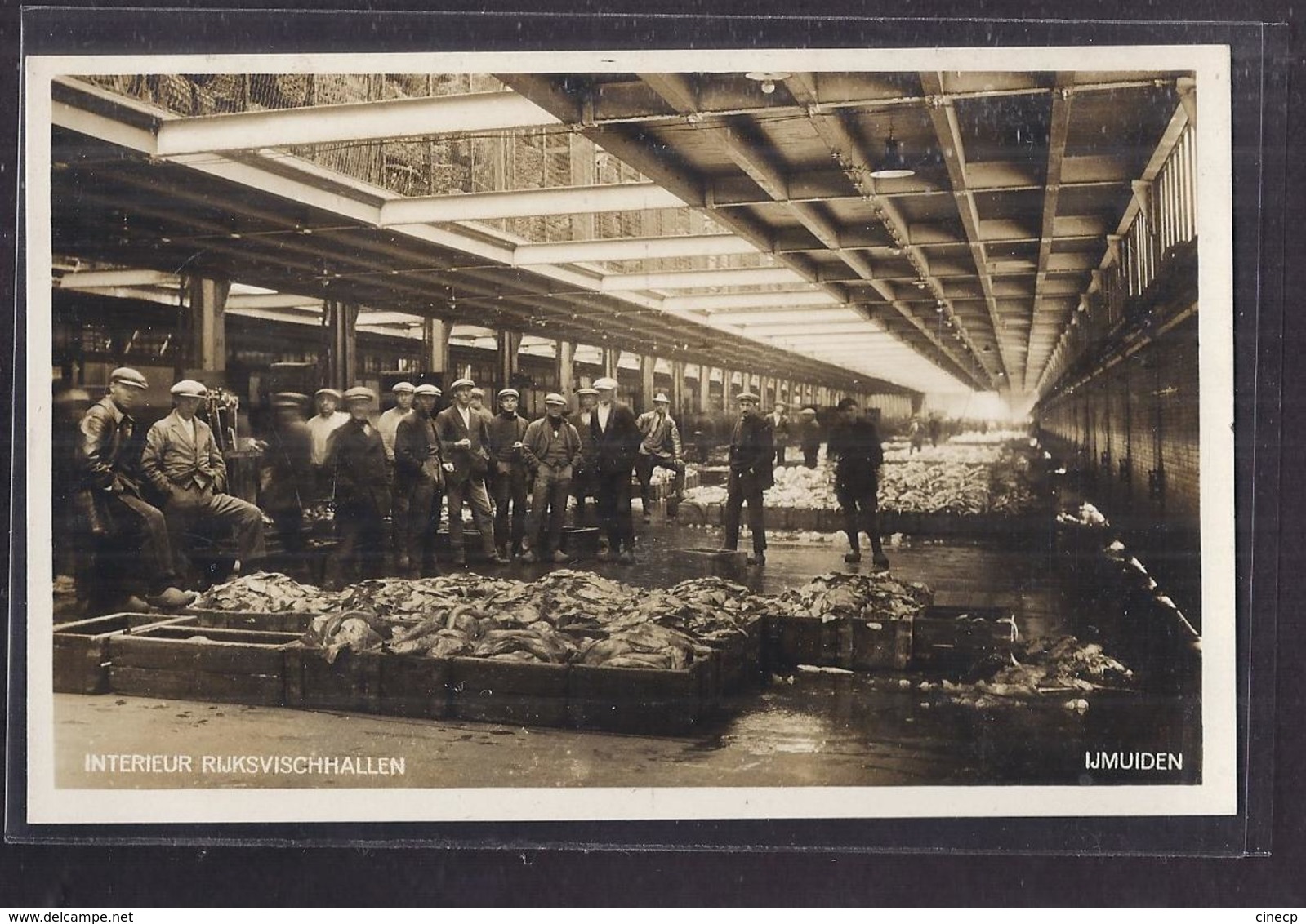 CPA PAYS-BAS - HOLLANDE - IJMUIDEN - Intérieur Rijksvischhallen - SUPERBE PLAN ANIMATION STAND De Poissons - IJmuiden