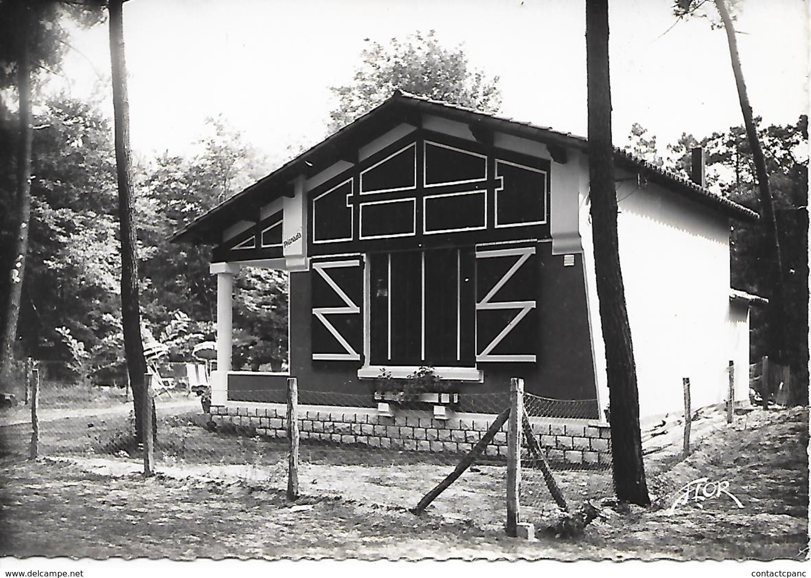 RONCE Les BAINS  ( 17 ) -  Villa , Avenue De La Cèpe ( C.P.S.M.  , Gd  -  Ft  ) - Autres & Non Classés