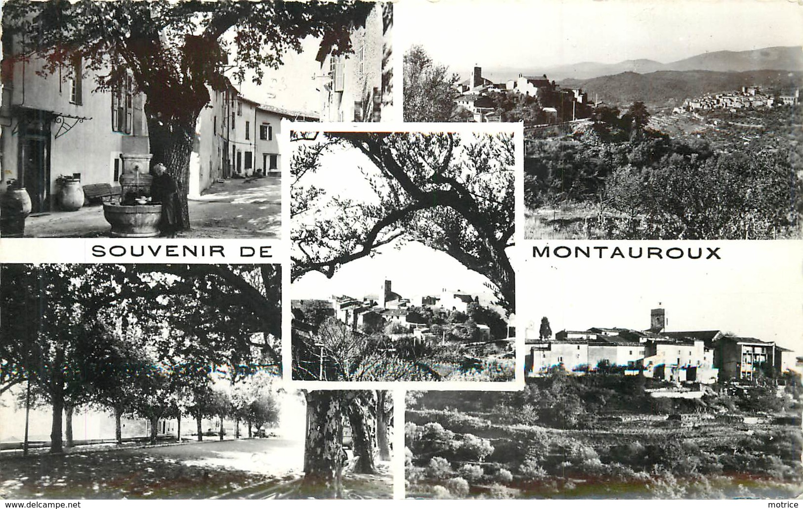 MONTAUROUX -carte Multi-vues. - Montauroux