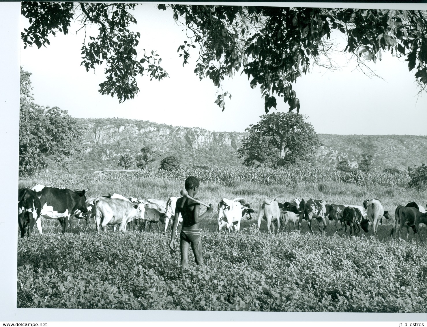 Photo Bénin. Petit Berger Peul De L'Atakora 1980. Photo Du Père Gust Beeckmans. - Afrique