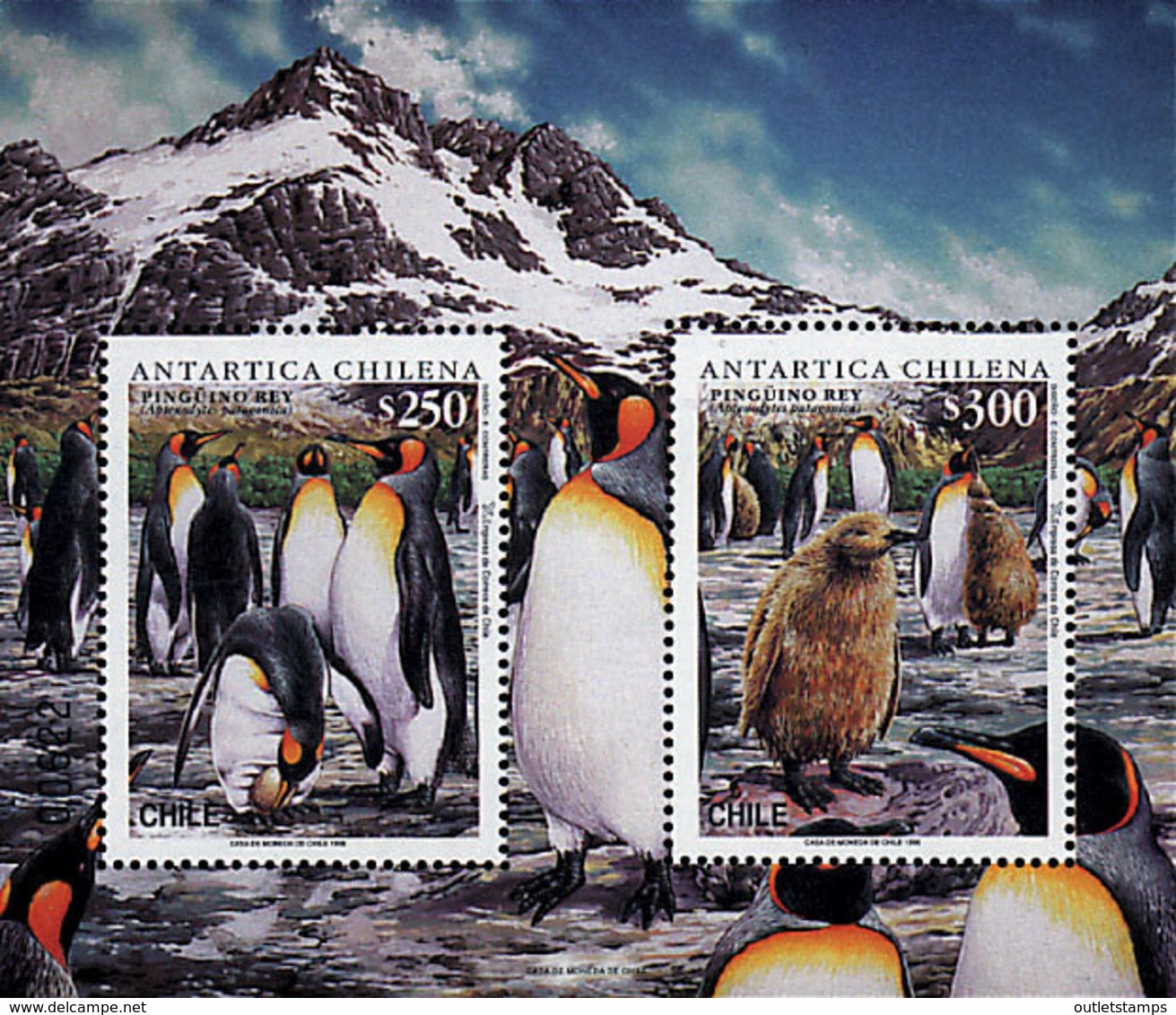 Ref. 32911 * NEW *  - CHILE . 1996. FAUNA OF THE CHILEAN ANTARCTICA. FAUNA DE LA ANTARTIDA CHILENA - Chili