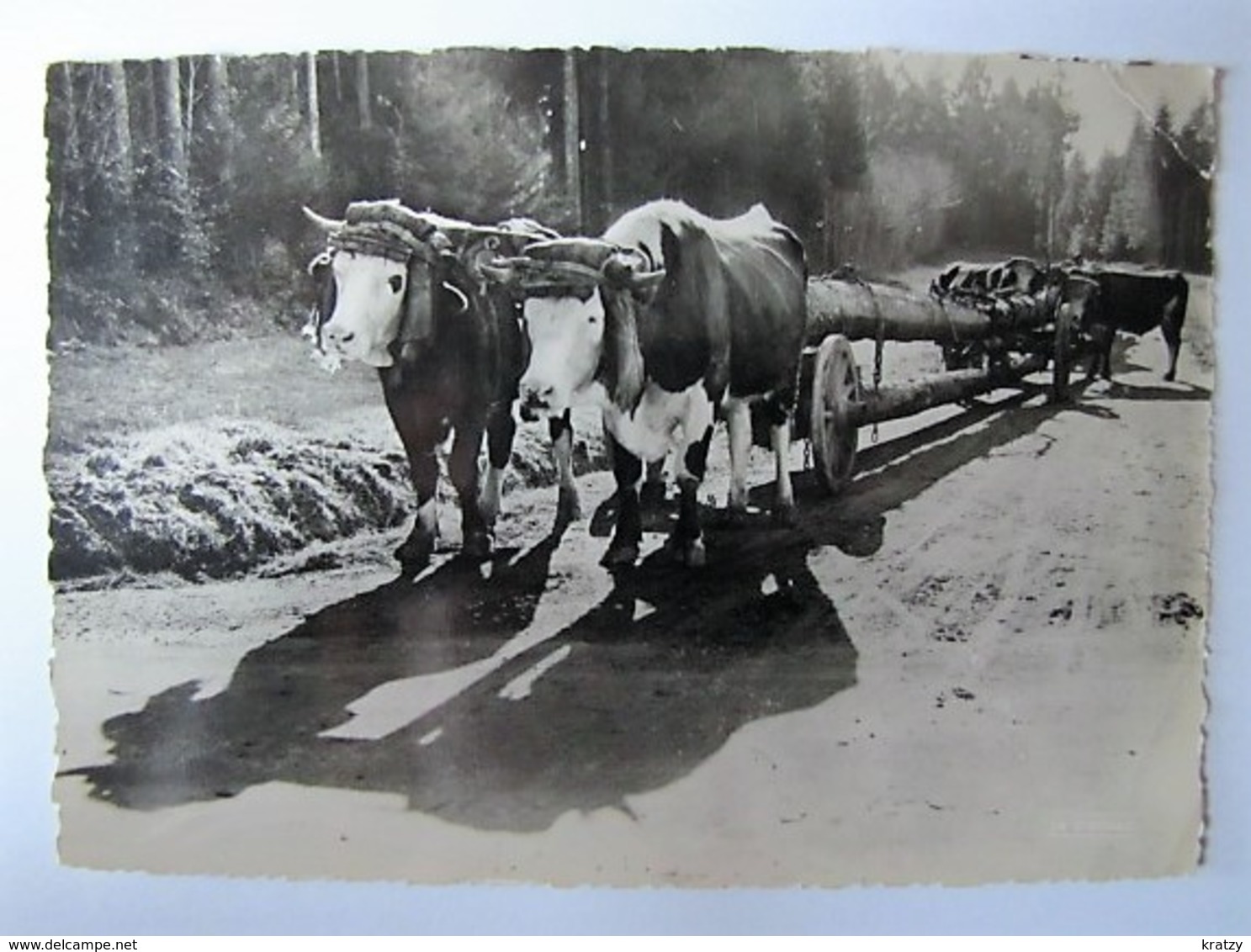 FRANCE - VOSGES - Transport De Grumes - 1959 - Altri & Non Classificati