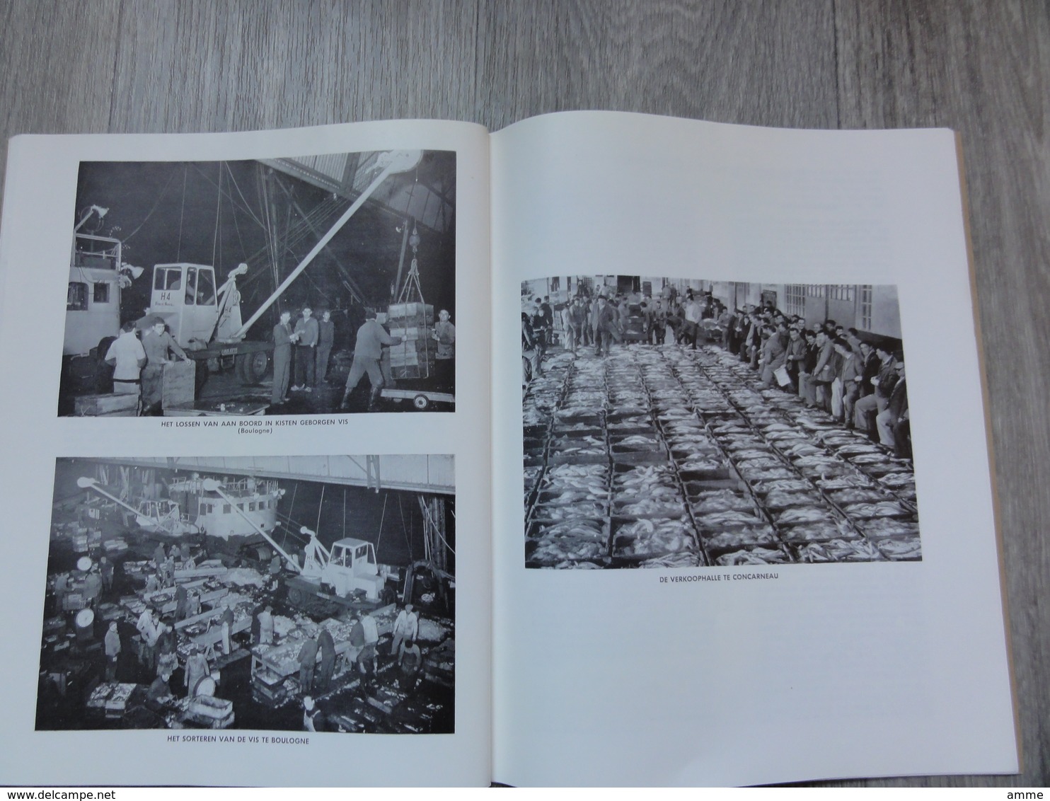 Rapport Over De Garnalenvisserij En Garnalenpellerijen (1960) - Studiereizen In Het Buitenland (vis - Visserij) - Pratique