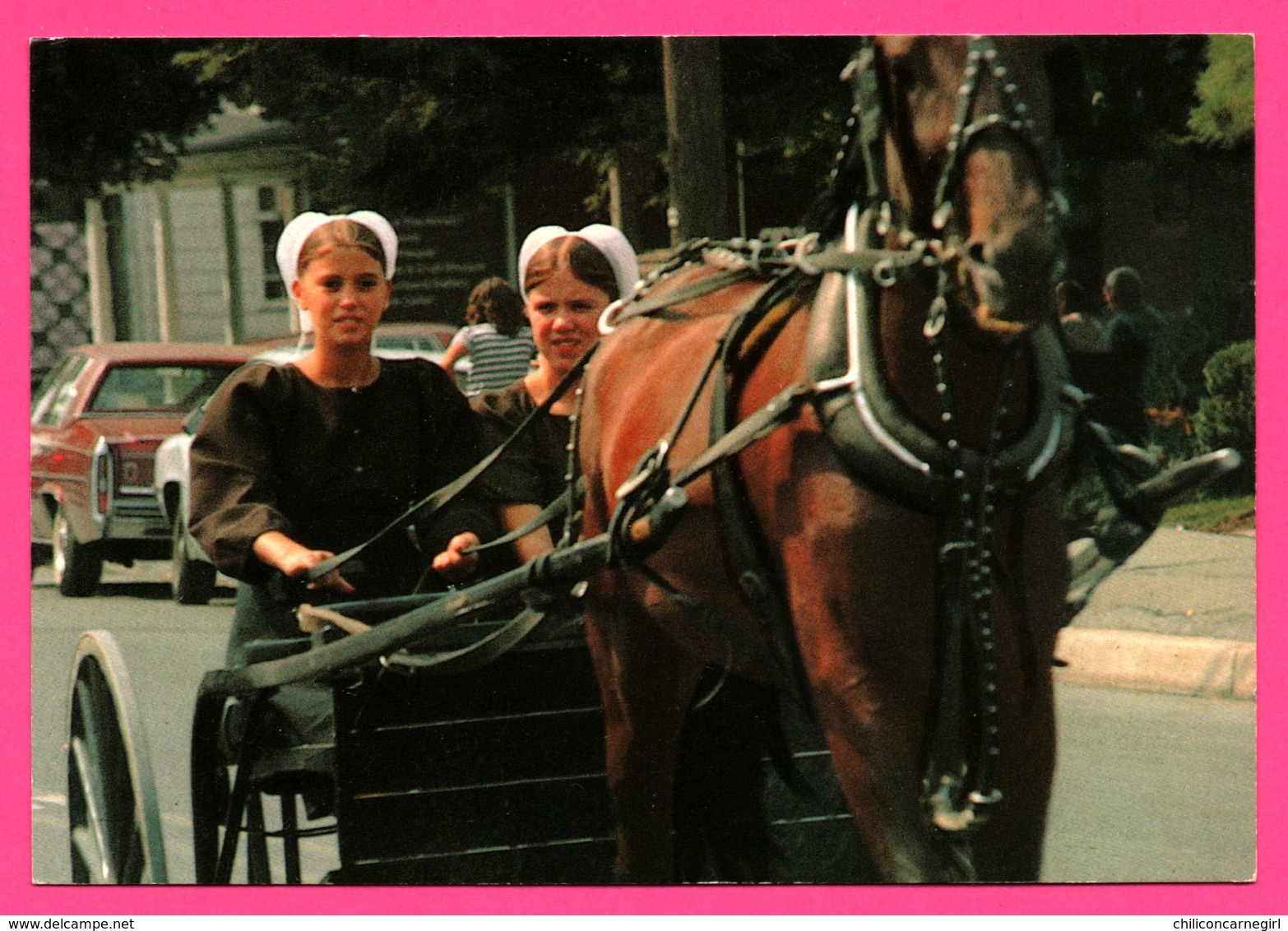 Amish Country - Young Amish Girls - Attelage - Calèche - Photo MARSHALL DUSSINGER - Lancaster