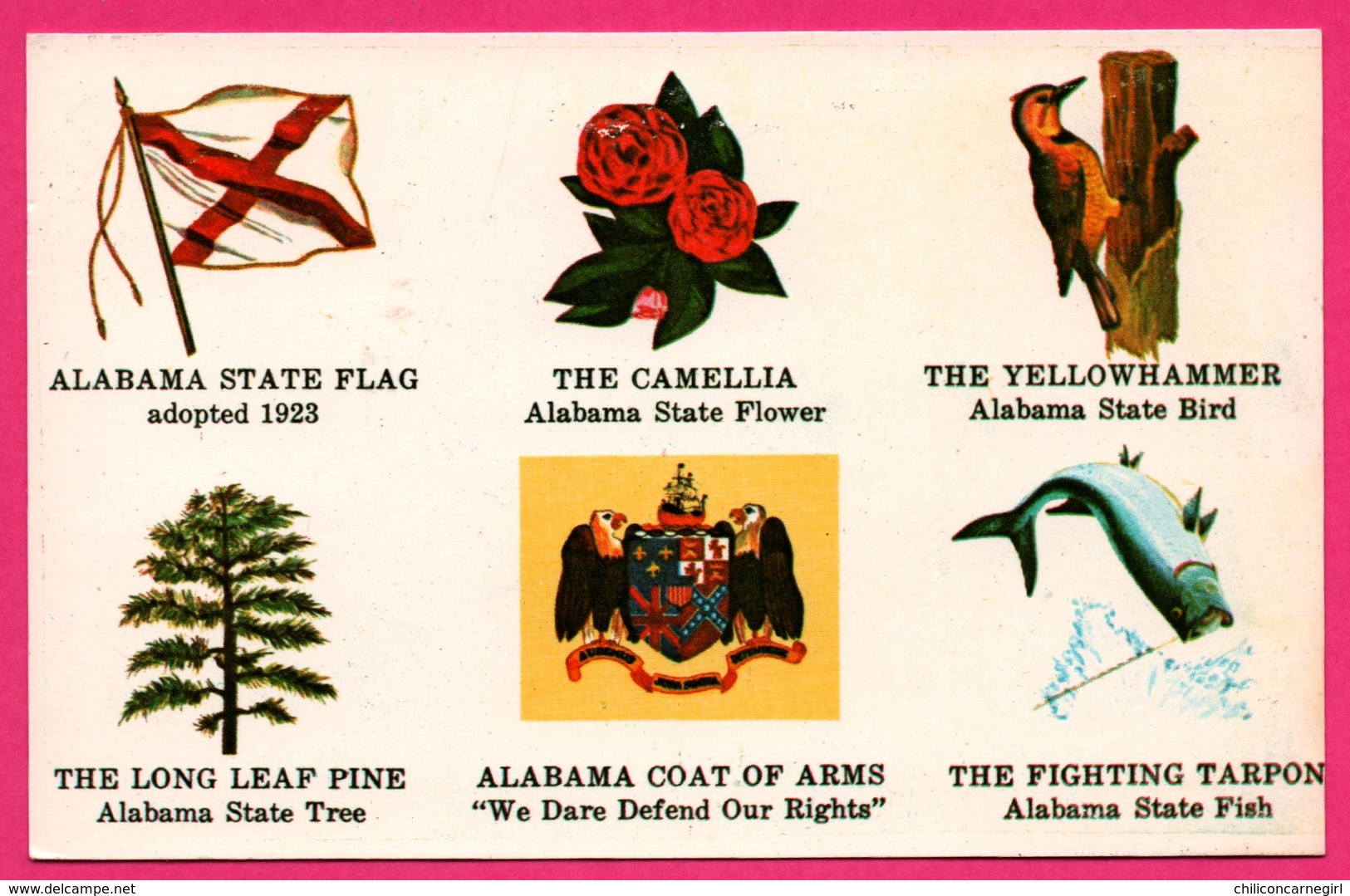 Alabama - Flag - Drapeau - Camélia - Pic Vert - Poisson - Blason - Aigle - Fish - SCENIC SOUTH Co - Other & Unclassified