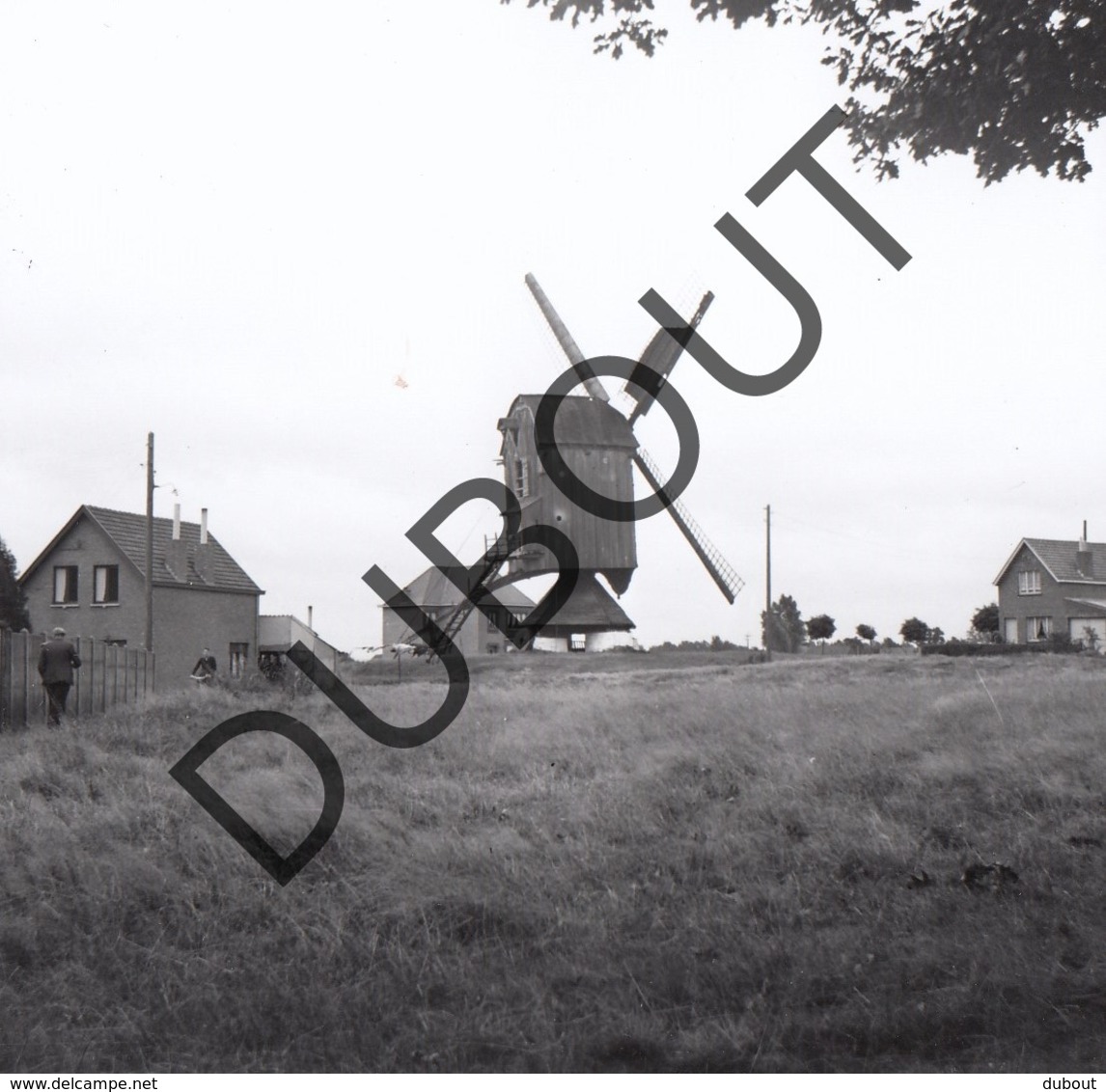 Meerhout Molen/Moulin Foto Jaren '70 C43 - Meerhout