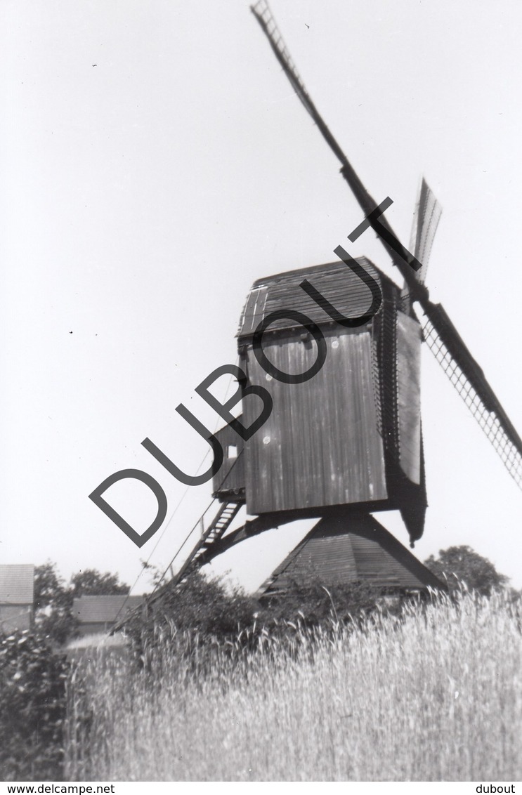 Meerhout Molen/Moulin Foto Jaren '70 C50 - Meerhout