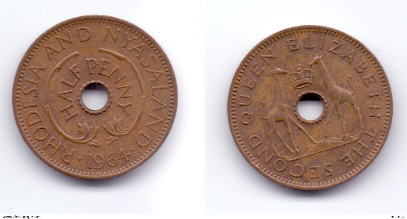 Rhodesia & Nyasaland 1/2 Penny 1964 - Rhodésie