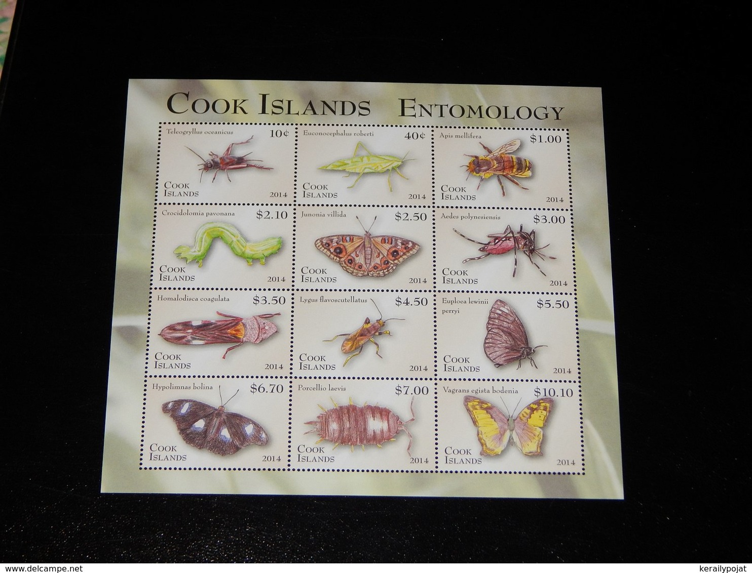 Cook Islands - 2014 Arthropods Sheet MNH__(THB-763) - Cook Islands