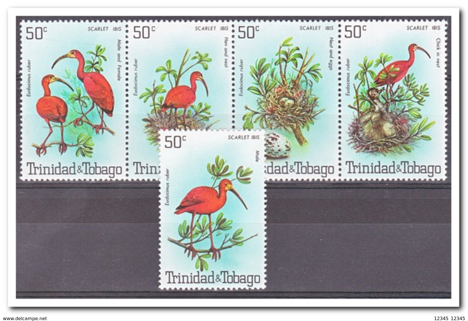 Trinidad & Tobago 1980, Postfris MNH, Birds - Trinidad En Tobago (1962-...)