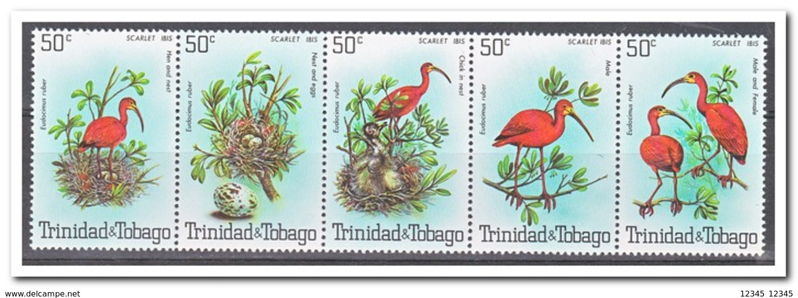 Trinidad & Tobago 1980, Postfris MNH, Birds - Trinidad En Tobago (1962-...)