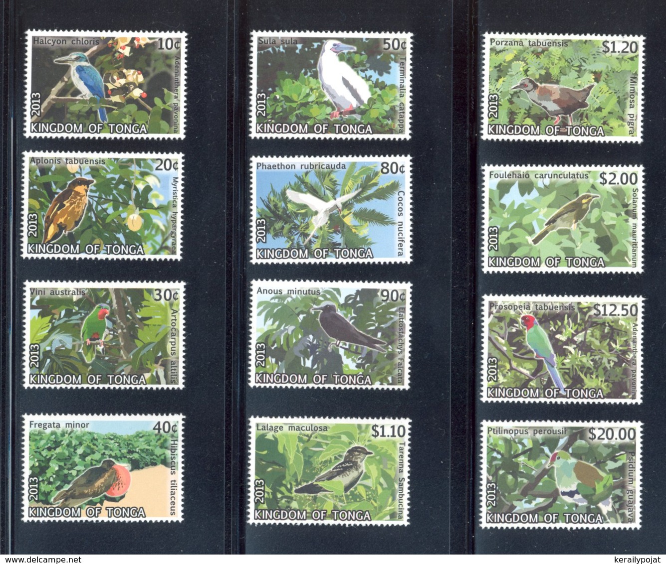 Tonga - 2013 Birds MNH__(TH-14699) - Tonga (1970-...)